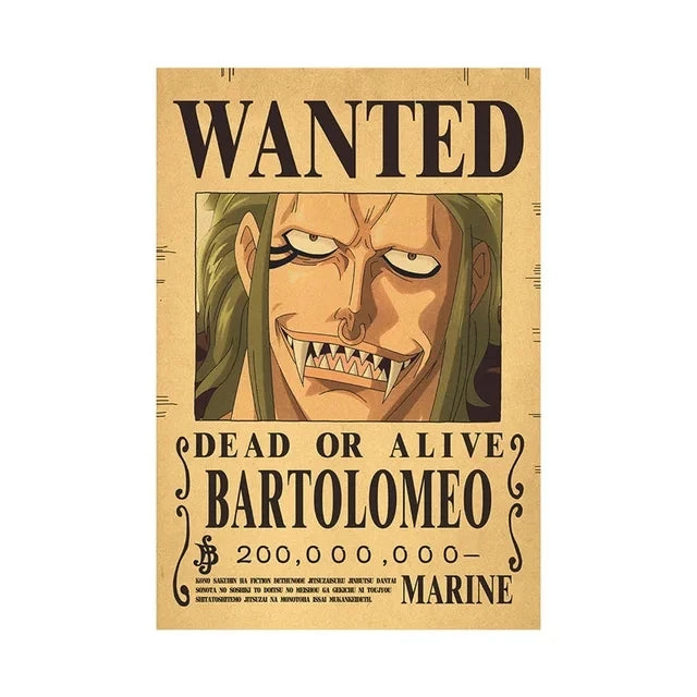 Affiches de recherche One Piece