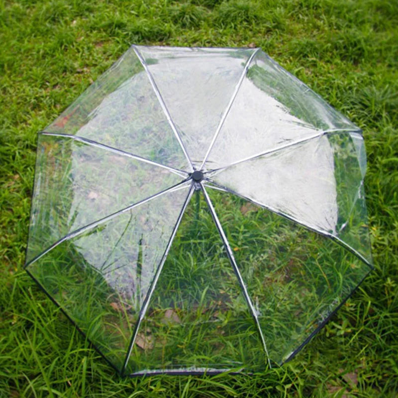 Parapluie Transparent Automatique