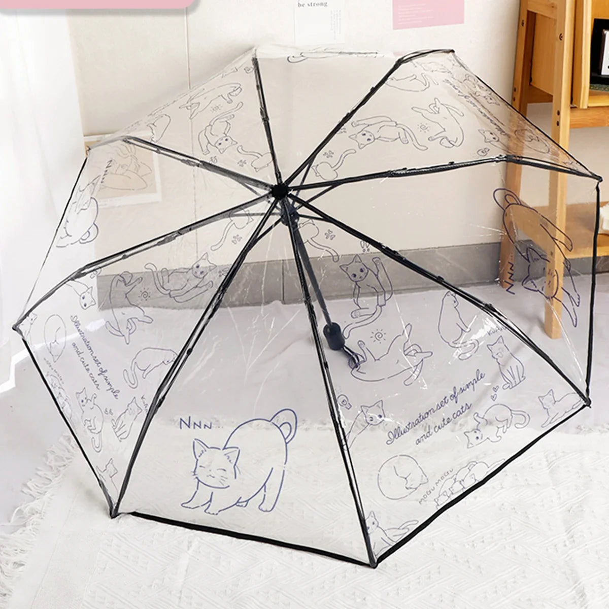 Parapluie Transparent