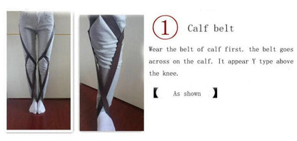 Ceinture Harnais AOT