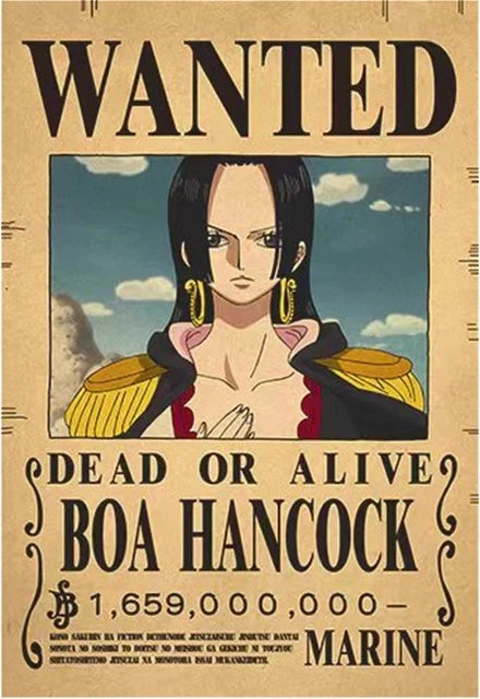 Affiches de recherche One Piece