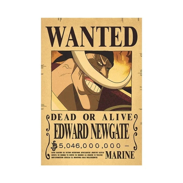 Affiches de recherche One Piece