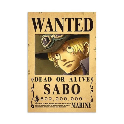 Affiches de recherche One Piece