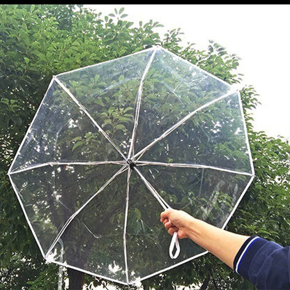 Parapluie Transparent Automatique