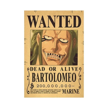 Affiches de recherche One Piece