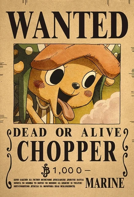 Affiches de recherche One Piece