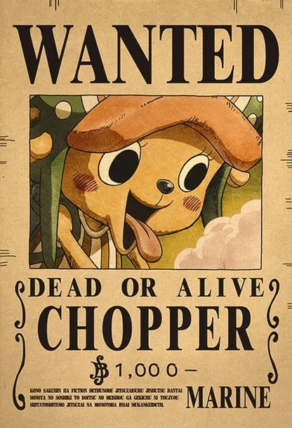 Affiches de recherche One Piece