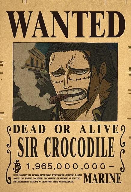Affiches de recherche One Piece