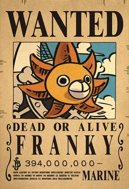 Affiches de recherche One Piece