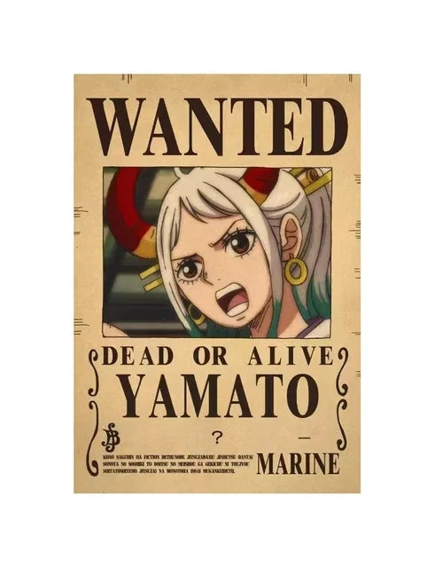Affiches de recherche One Piece