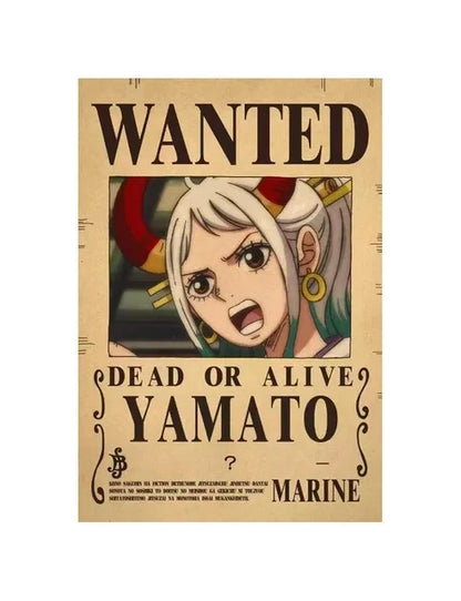 Affiches de recherche One Piece