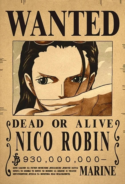 Affiches de recherche One Piece