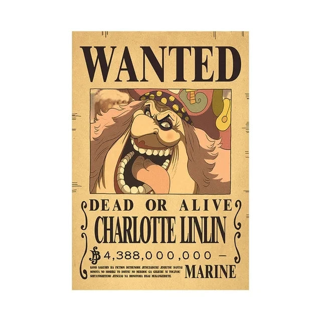 Affiches de recherche One Piece