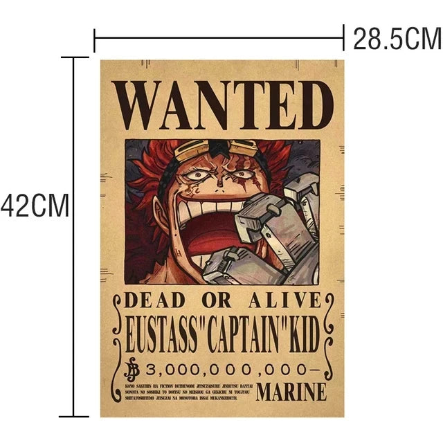 Affiches de recherche One Piece