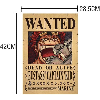 Affiches de recherche One Piece